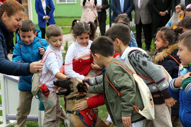 Minik öğrenciler, hayvan hastanesi açılışında köpekleri sevdi