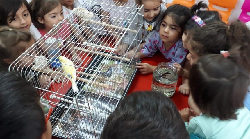 Anaokulu &ouml;ğrencileri hayvanları yakından tanıdı