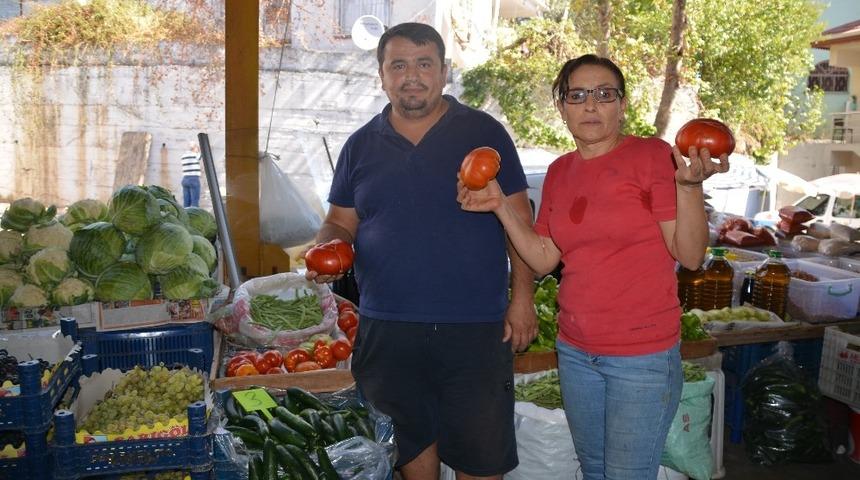 Domateste d&uuml;ş&uuml;ş beklenmiyor