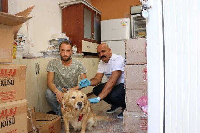 Samsun’da 22 bin 178 kedi ve köpeğe kuduz aşısı yapıldı