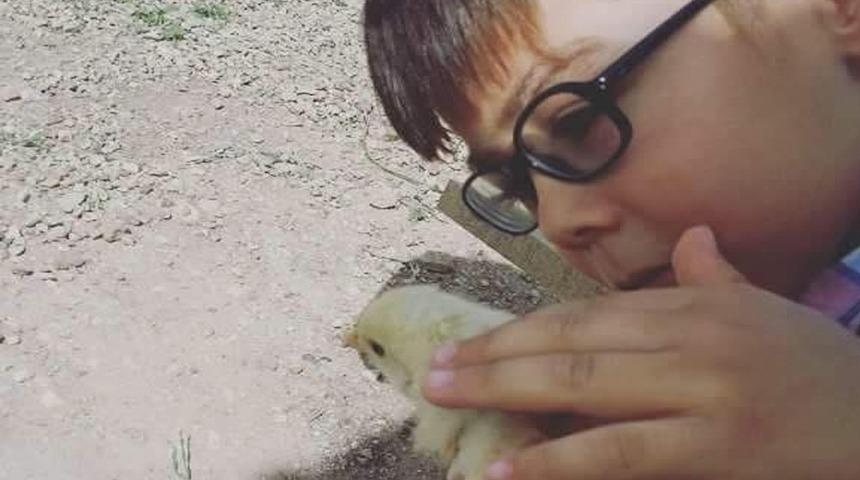 Minik y&uuml;rekler sokak hayvanlarına sarıldı