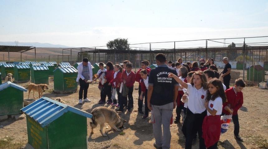 &Ouml;ğrenciler hayvan barınaklarına akın etti