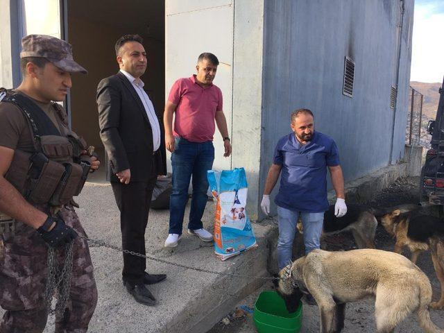 Hakkari’de ‘4 Ekim Hayvanları Korumu Günü’ etkinlikleri