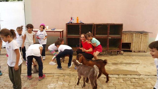 Öğrenciler barınma merkezideki hayvanları sevdi