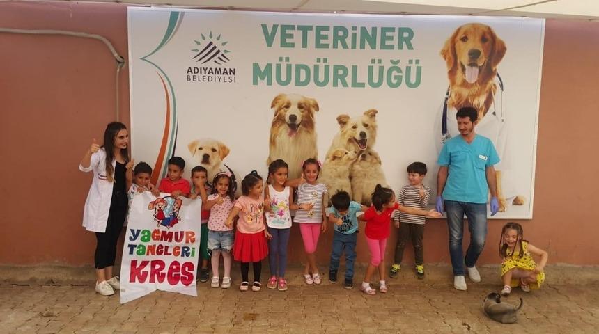 &Ouml;ğrenciler barınma merkezideki hayvanları sevdi