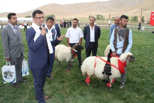 Kırkpınar’dan Gürpınar’a Güreş Festivali sona erdi