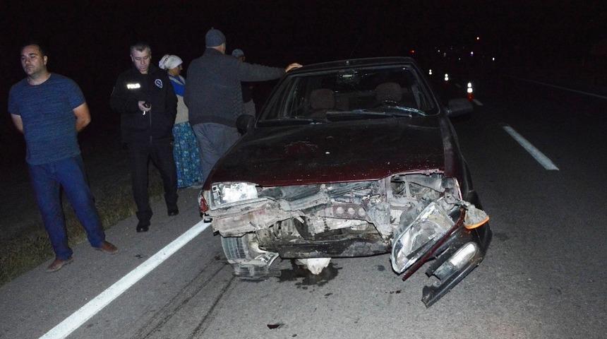 Tokat’ta otomobil koyunlara çarptı