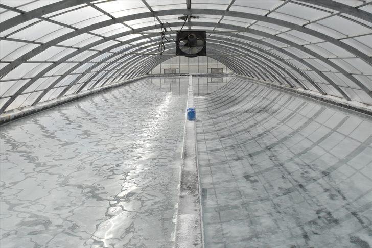 Dünya peşinde! Türkiye'den Arsenal'e gönderiyor G4