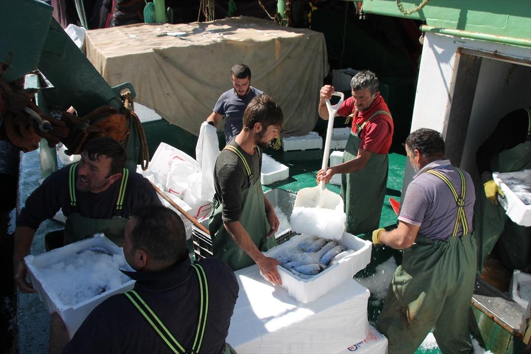  T&uuml;m kasalar bir gecede doldu! Fiyatlar d&uuml;şecek