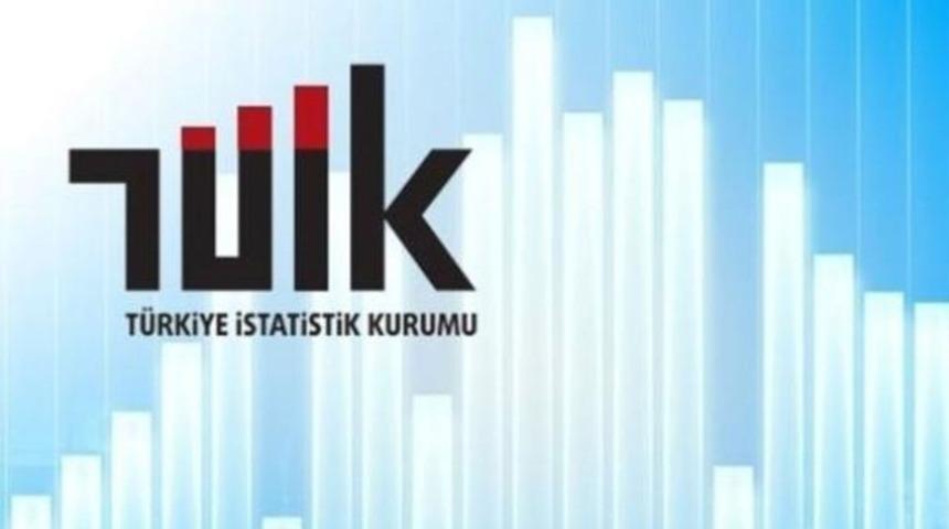 Berat Albayrak'ın Enerji Bakanlığı döneminde birlikte çalıştığı Yinal Yağan TÜİK'e atandı!