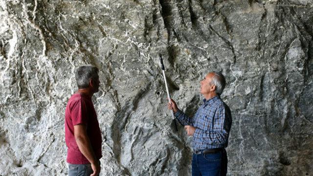  Yarasa Kesesi!  İran da başladı, T&uuml;rkiye de yayıldı 1