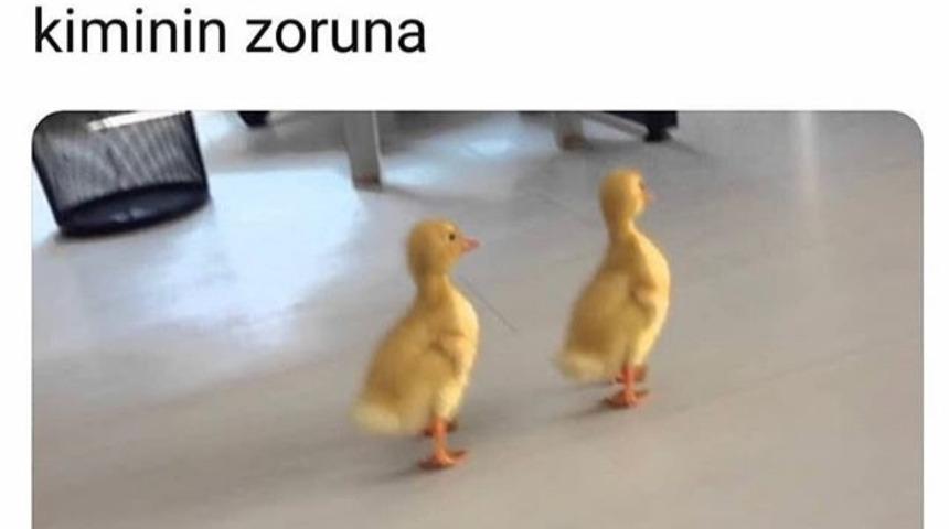 İhtiyacınız olan kahkaha için haftanın en komik Tweet'leri