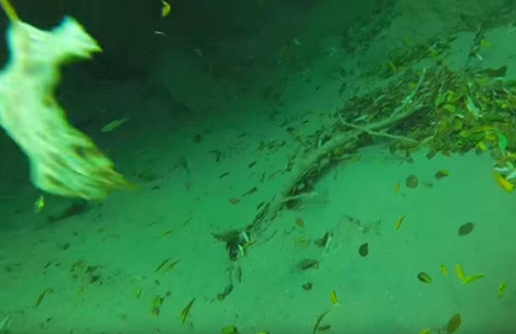 Şelaleye girdi, bulduğuna inanamadı! G1