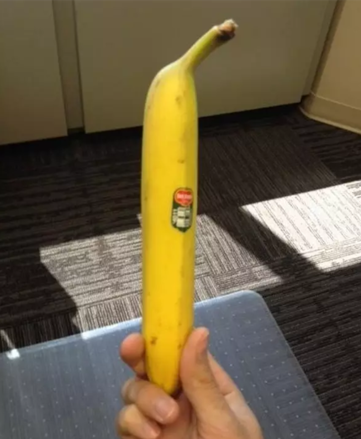 Baktıkça sinirlerinizi bozacak 14 gıcık yemek fotoğrafı G2