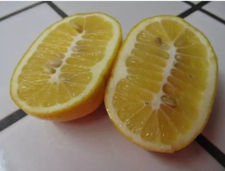 Baktıkça sinirlerinizi bozacak 14 gıcık yemek fotoğrafı G3