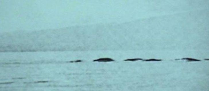 Kanada'nın Van Gölü Canavarı tekrar ortaya çıktı  G4