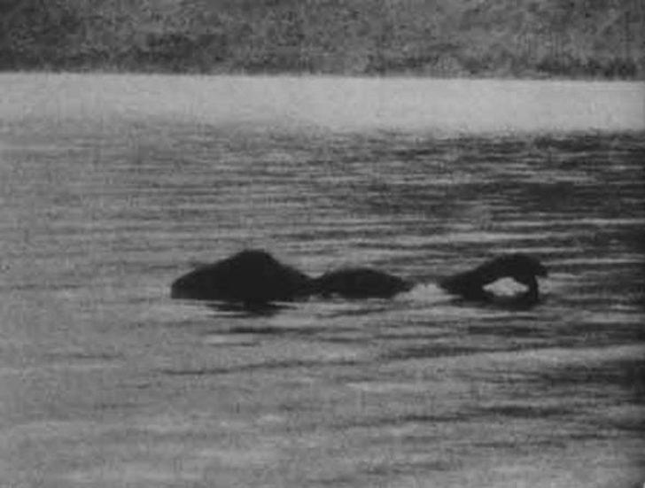 Kanada'nın Van Gölü Canavarı tekrar ortaya çıktı  G5