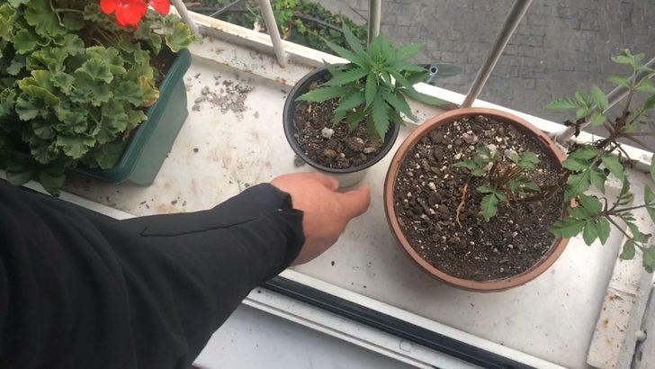 Ünlülerin torbacısı Cihangir'de sevgilisiyle birlikte yakalandı G1