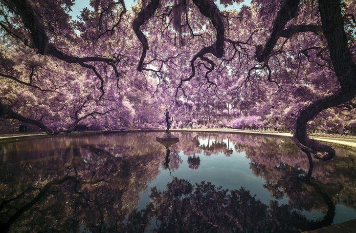 2018 Sony Dünya Fotoğraf Ödülleri’nde yarışan fotoğraflar  G3