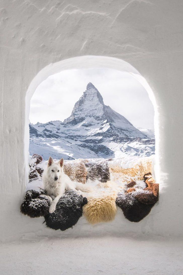 2018 Sony Dünya Fotoğraf Ödülleri’nde yarışan fotoğraflar  G5