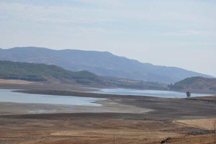  Korkutan manzara! Binlercesi kıyıya vurdu G2