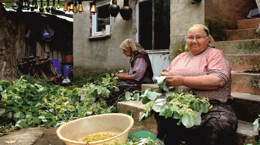 Kadın &ccedil;ift&ccedil;ilere destek