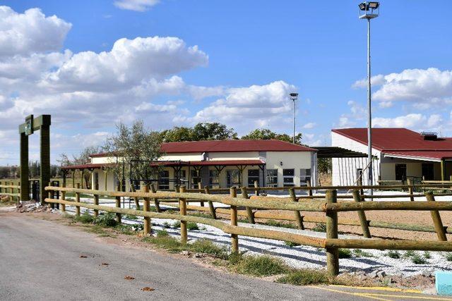 Aksaray’a at binicilik tesisi yapıldı