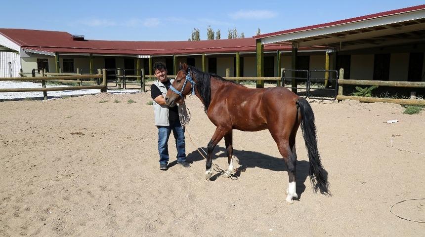 Aksaray&rsquo;a at binicilik tesisi yapıldı