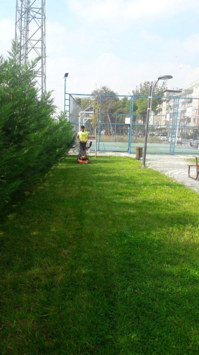 Karesi Belediyesi yeşil bir çevre için çalışıyor