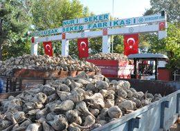 Uşak'ta pancar alım kampanyası başladı