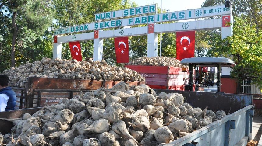Uşak'ta pancar alım kampanyası başladı