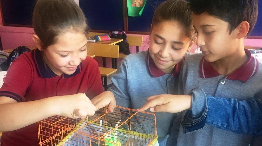 Ortaokul &ouml;ğrencilerinden farklı etkinlik