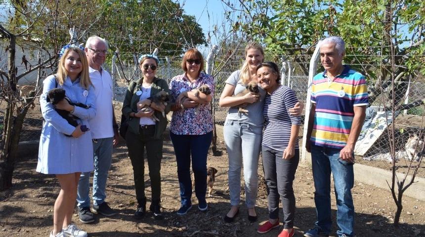 200 hayvanın soğukta yuvasız kalmaması i&ccedil;in anlamlı &ccedil;ağrı