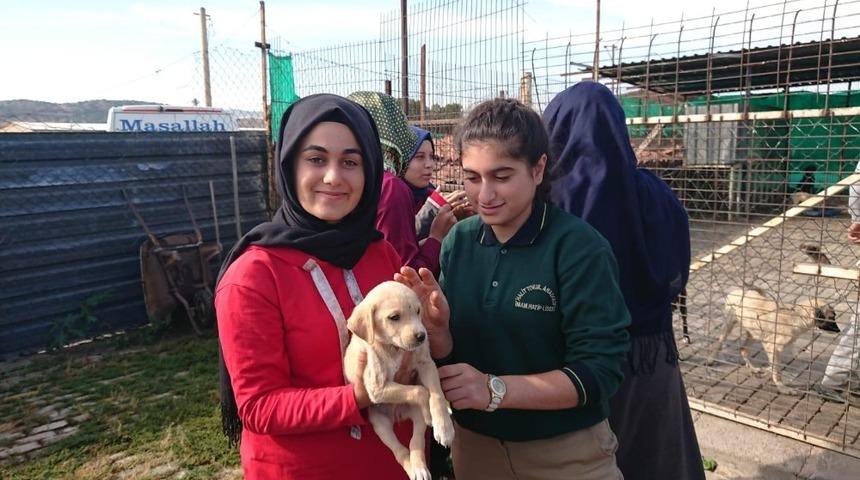 Liseli &ouml;ğrencilerin hayvan sevgisi