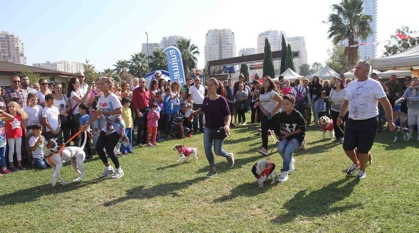 Hayvanseverler Pati Festivali&rsquo;nde buluştu