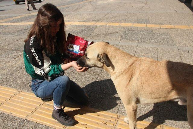 Sokak hayvanları Konak’ta aç kalmıyor