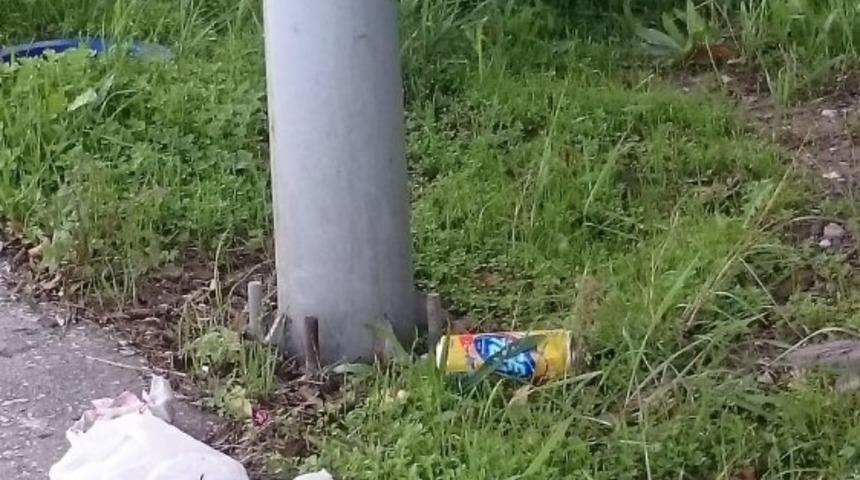 Yalova&rsquo;da &ccedil;&ouml;p kovalarını kırdılar