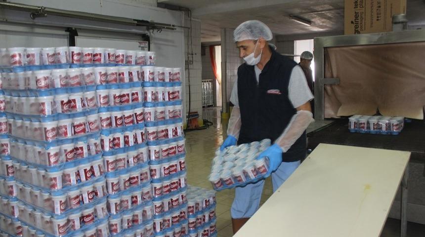 TMSF şirketi Vahdet Süt, ihracat atağı başlattı