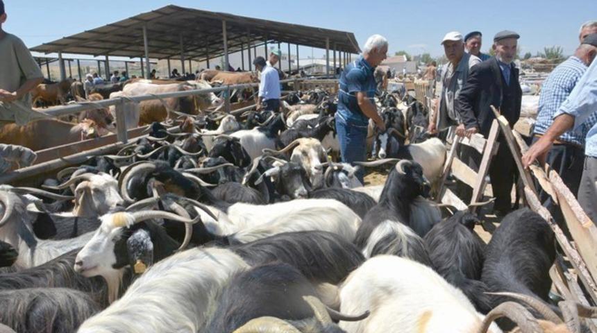 Sungurlu hayvan pazarı 11 Ekim&rsquo;de a&ccedil;ılıyor