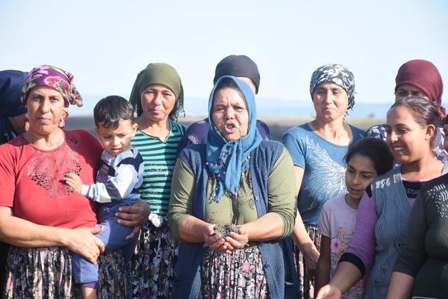 Toprak kiralanmayınca, bin nüfuslu köylü işsiz kaldı