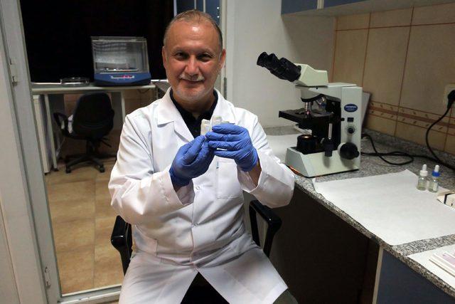 Türkiye'de yetişen 4 bitki türü 'sıtma' hastalığına deva olacak