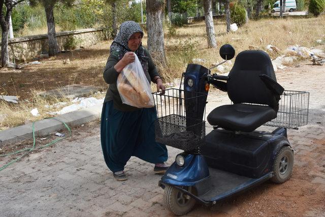 15 yıldır sokak hayvanlarına bakıyor