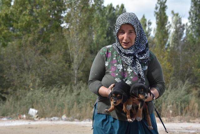 15 yıldır sokak hayvanlarına bakıyor