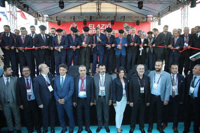 Yenikapı'da 'Elazığ Tanıtım Günleri' başladı