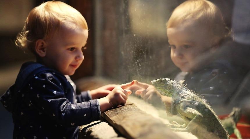 Doğa Yaşam Parkı 8.4 milyon ziyaret&ccedil;iyi ağırladı