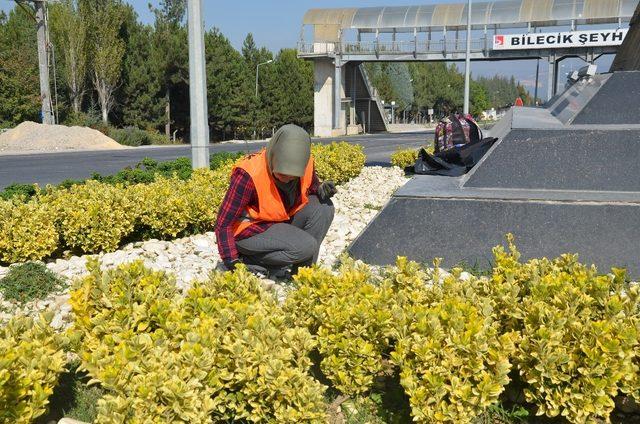 Park ve bahçelerdeki çalışmalarla Bilecek güzelleşiyor