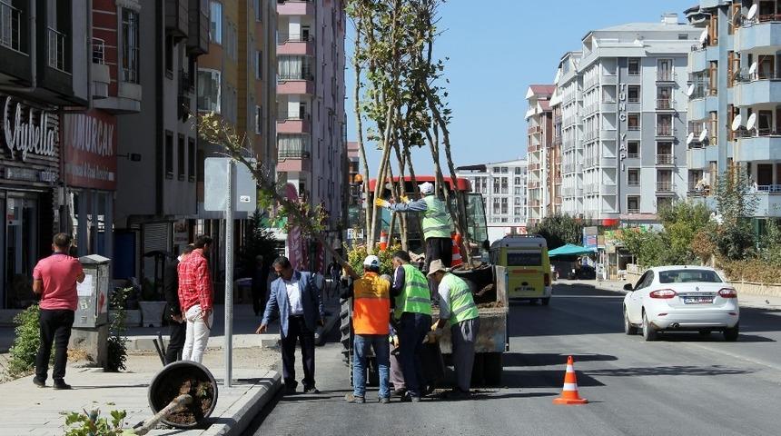 İskele Caddesi&rsquo;nde yeşillendirme &ccedil;alışması