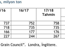 IGC 2018/19 dünya buğday üretim öngörüsünü düşürdü