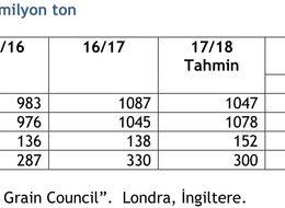 IGC 2018/19 dünya mısır üretim öngörüsünü artırdı