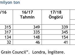IGC 2018/19 dünya soya üretim öngörüsünü yükseltti